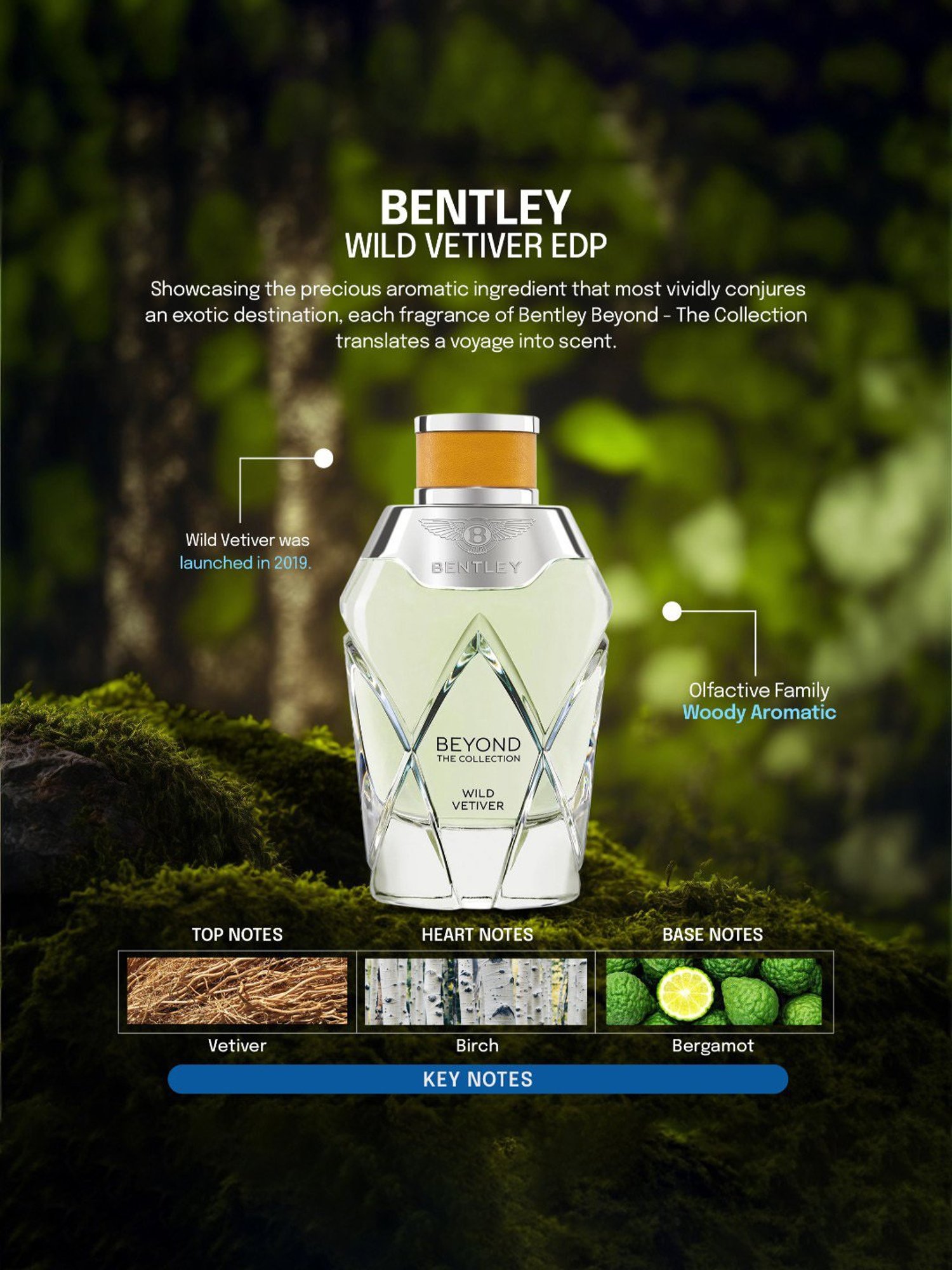 Bentley Beyond The Collection Wild Vetiver Eau de Parfum - 100 ml