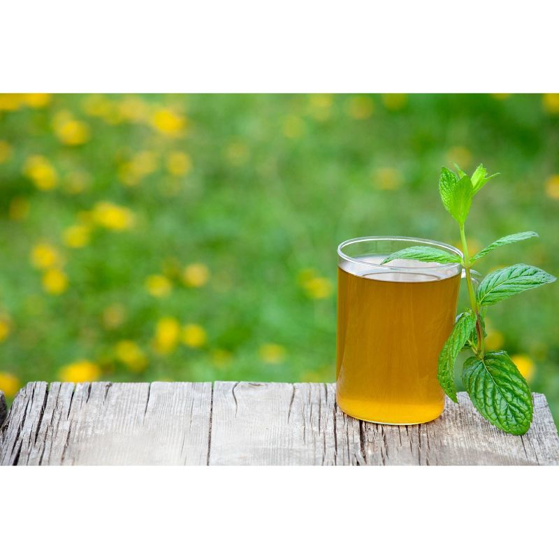 Celestial Seasonings Herbal Sleepytime Tea - 40ct