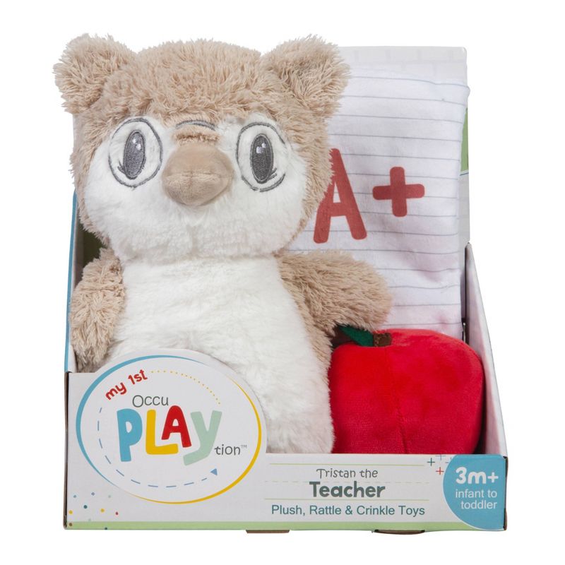 My 1st OccuPlaytion Owl Teacher - 3pc