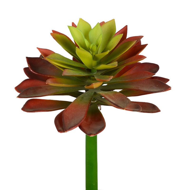 Vickerman 10" Artificial Red and Green Succulent Stem.