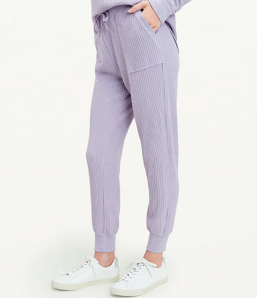 Sanctuary Perfect Knit Elastic Waist Pull-On Coordinating Sweatpants