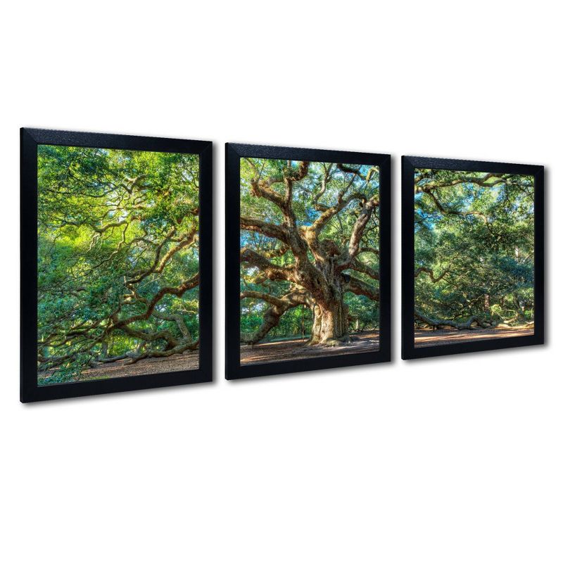 3pc Angel Oak Charleston by Pierre Leclerc - Trademark Fine Art
