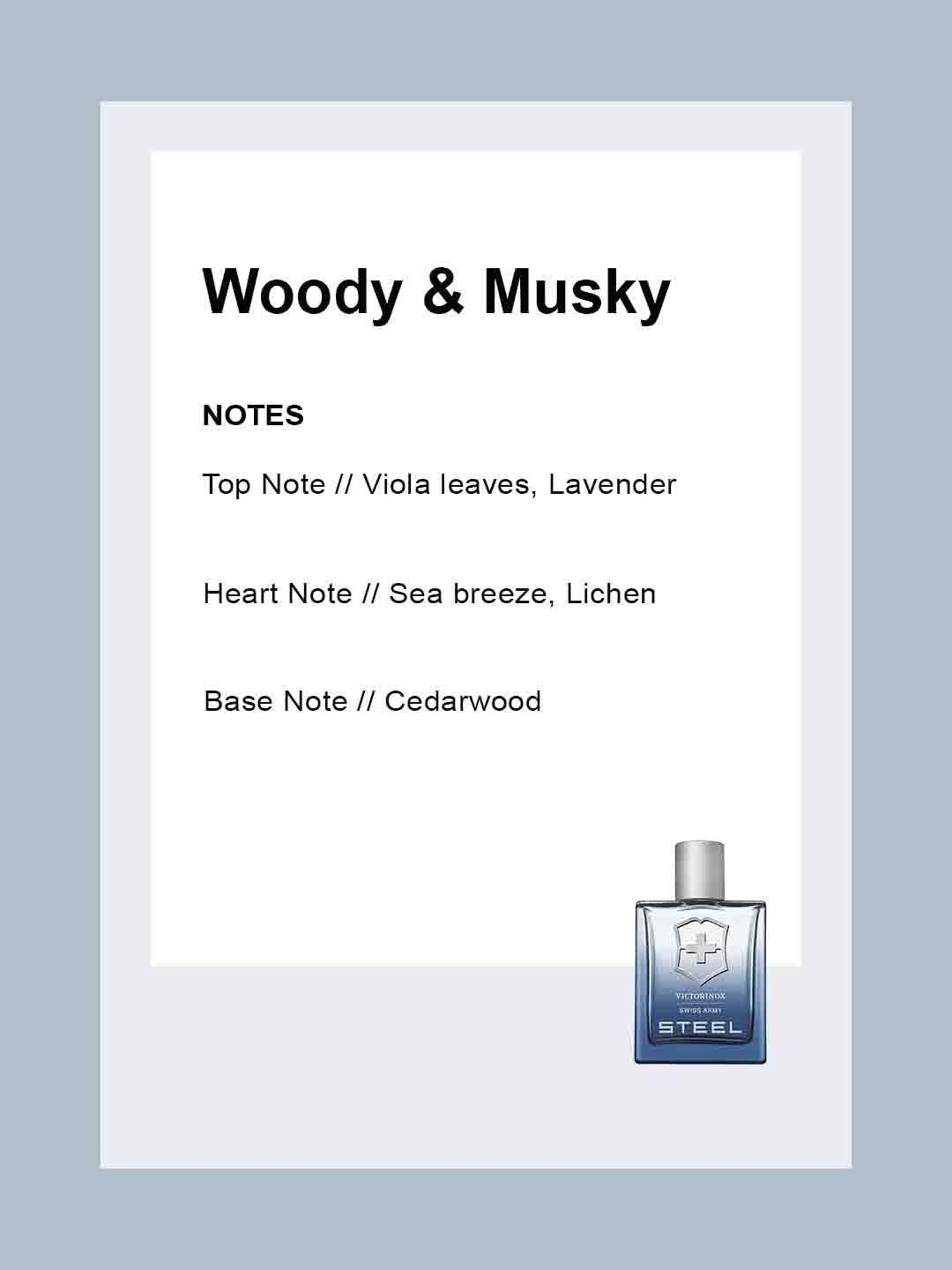 Steel Eau de Toilette for Men - 100 ml