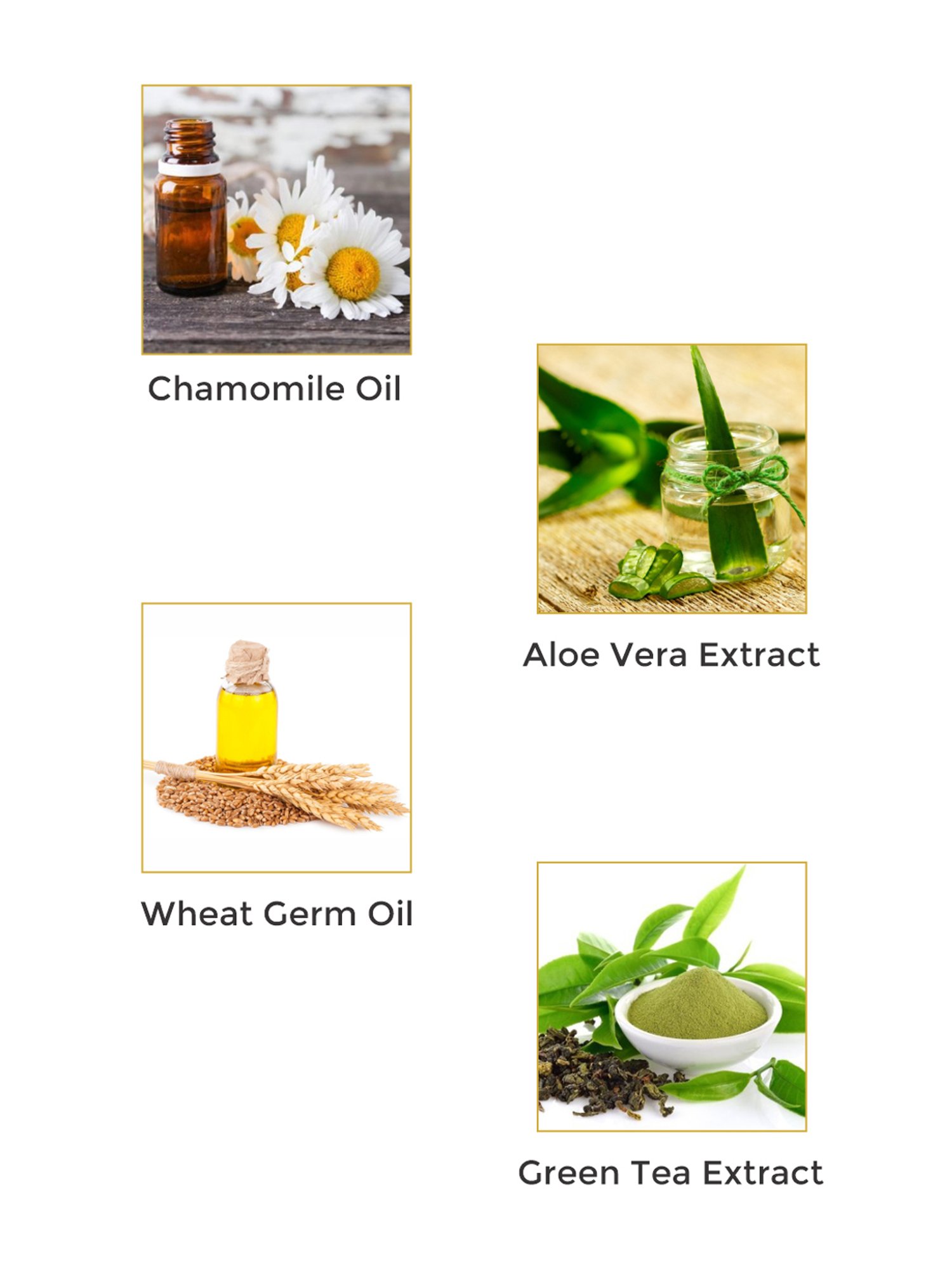 Vegetal Sandal Facewash - 100 ml