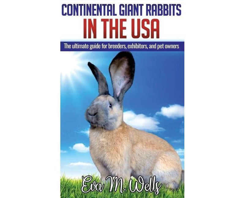 Behold the Personal Maine Coon - by  Phyllis Stiebens (Paperback)