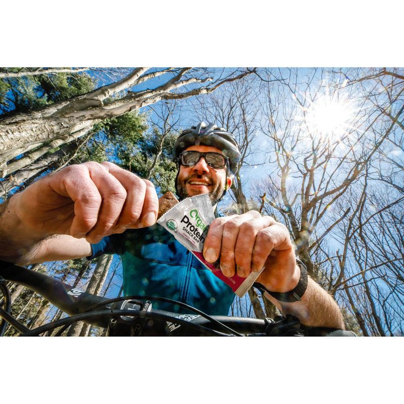 Orgain Organic Vegan Protein Bar - Peanut Butter Chocolate Chip - 12ct