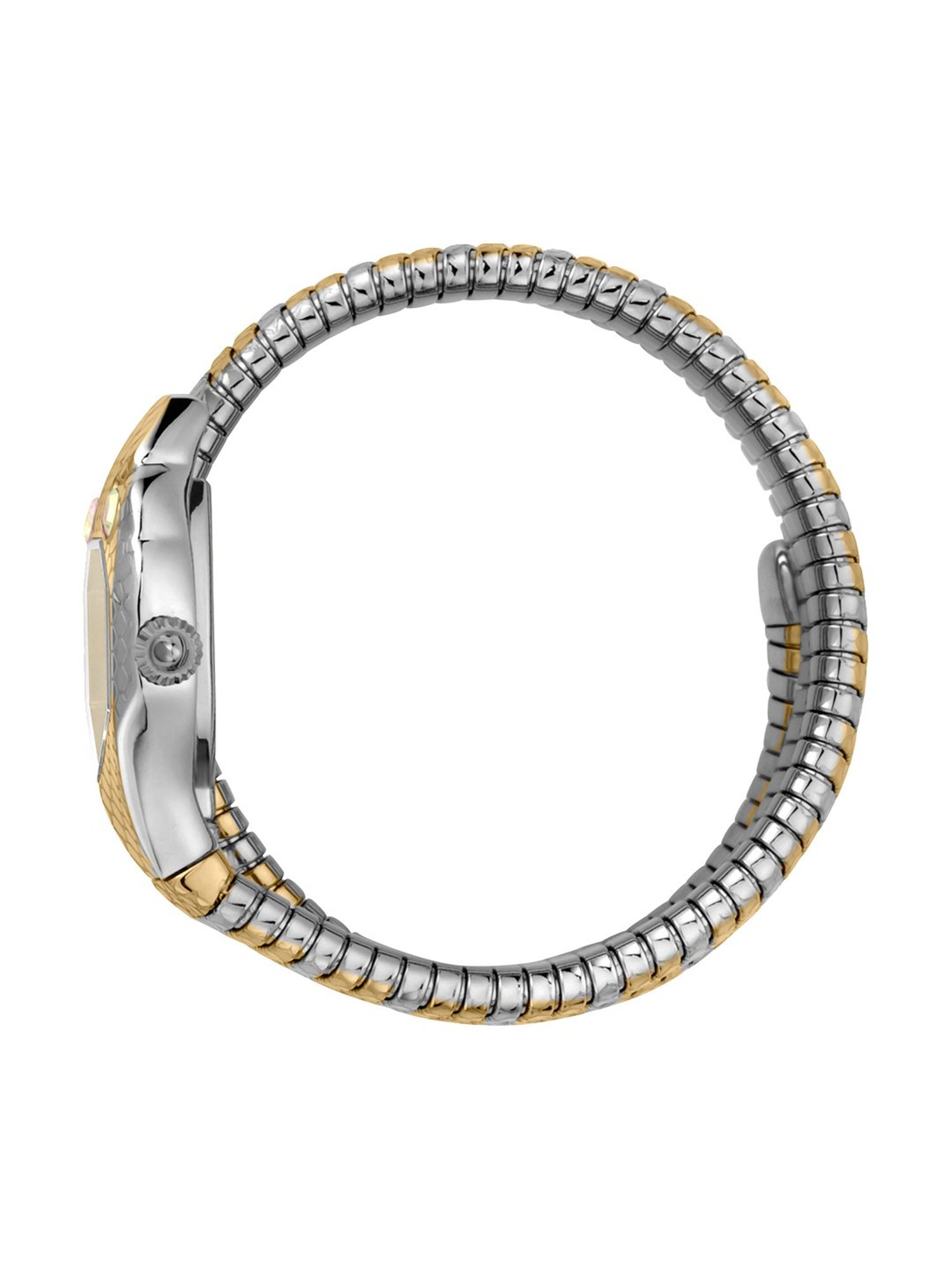 JUST CAVALLI JC1L168M0075 Analog Watch for Women