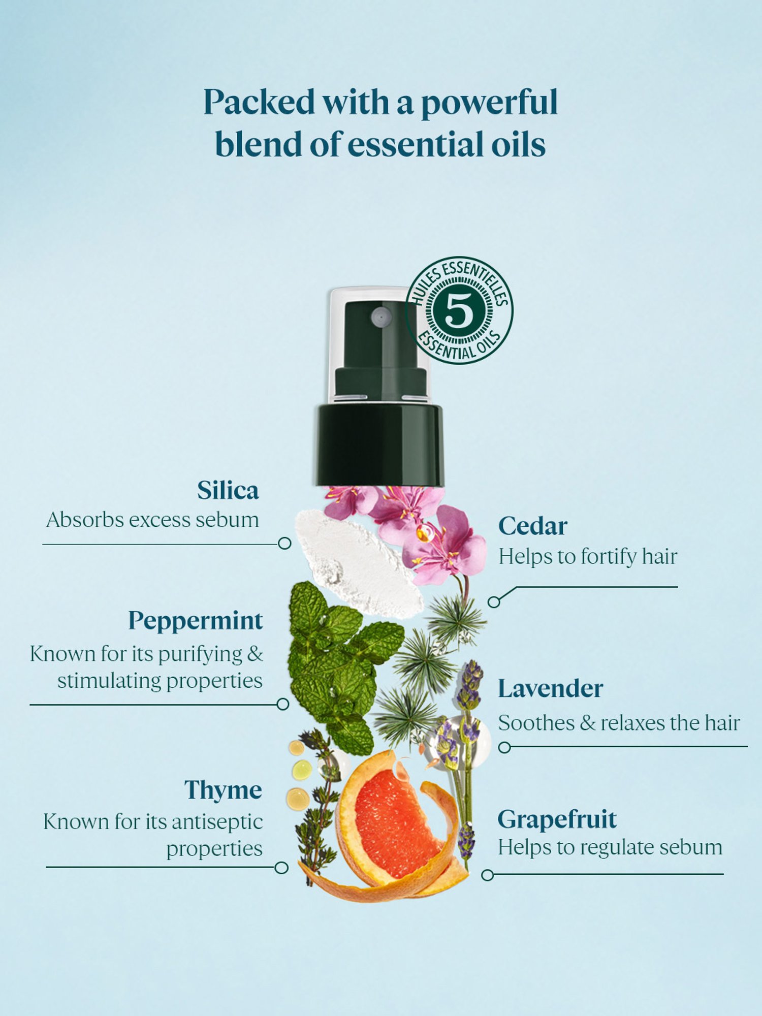 Sanfe Hair Volumizing Dry Shampoo - 25 ml