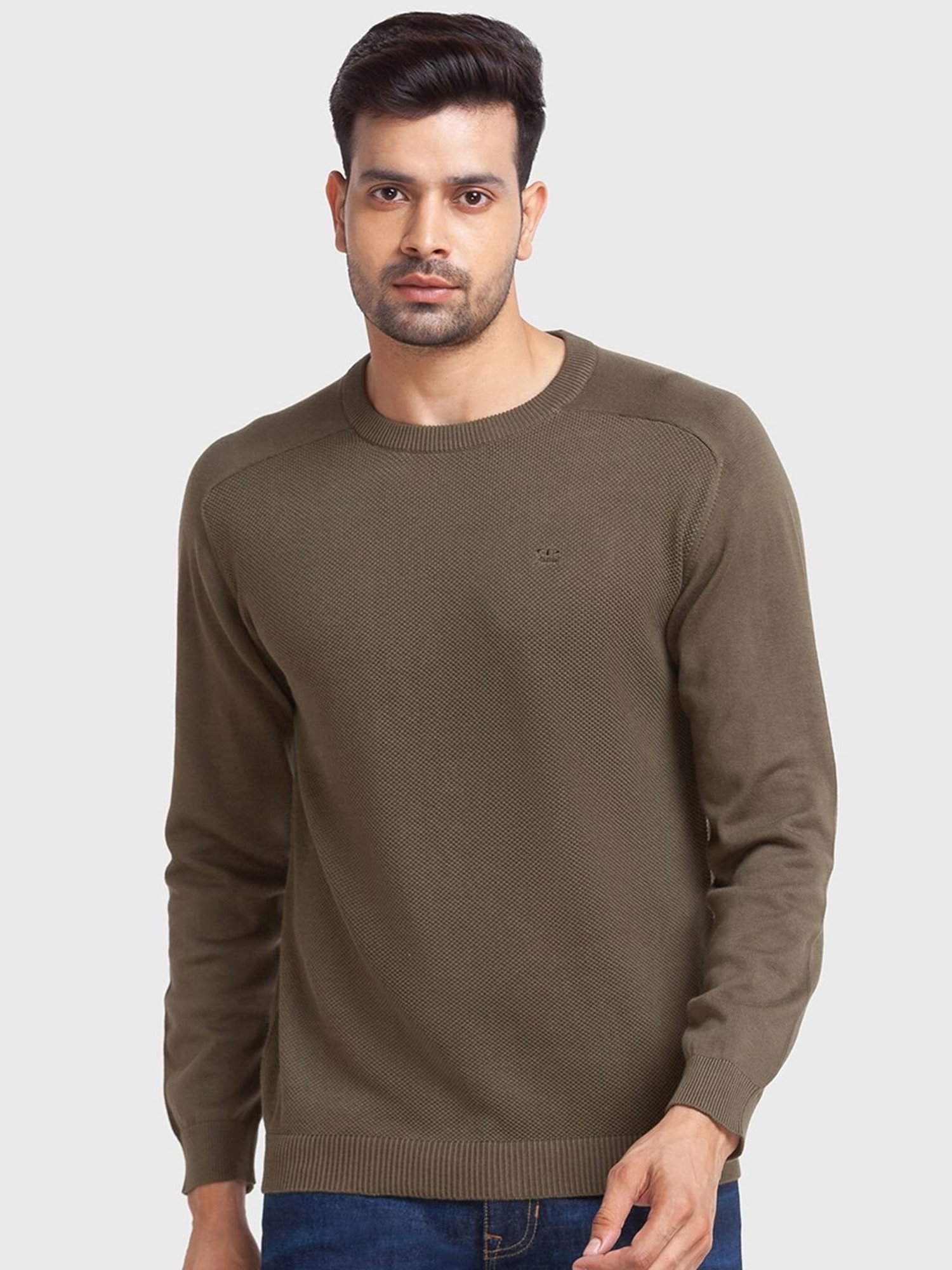 ColorPlus Green Cotton Tailored Fit Texture Sweaters
