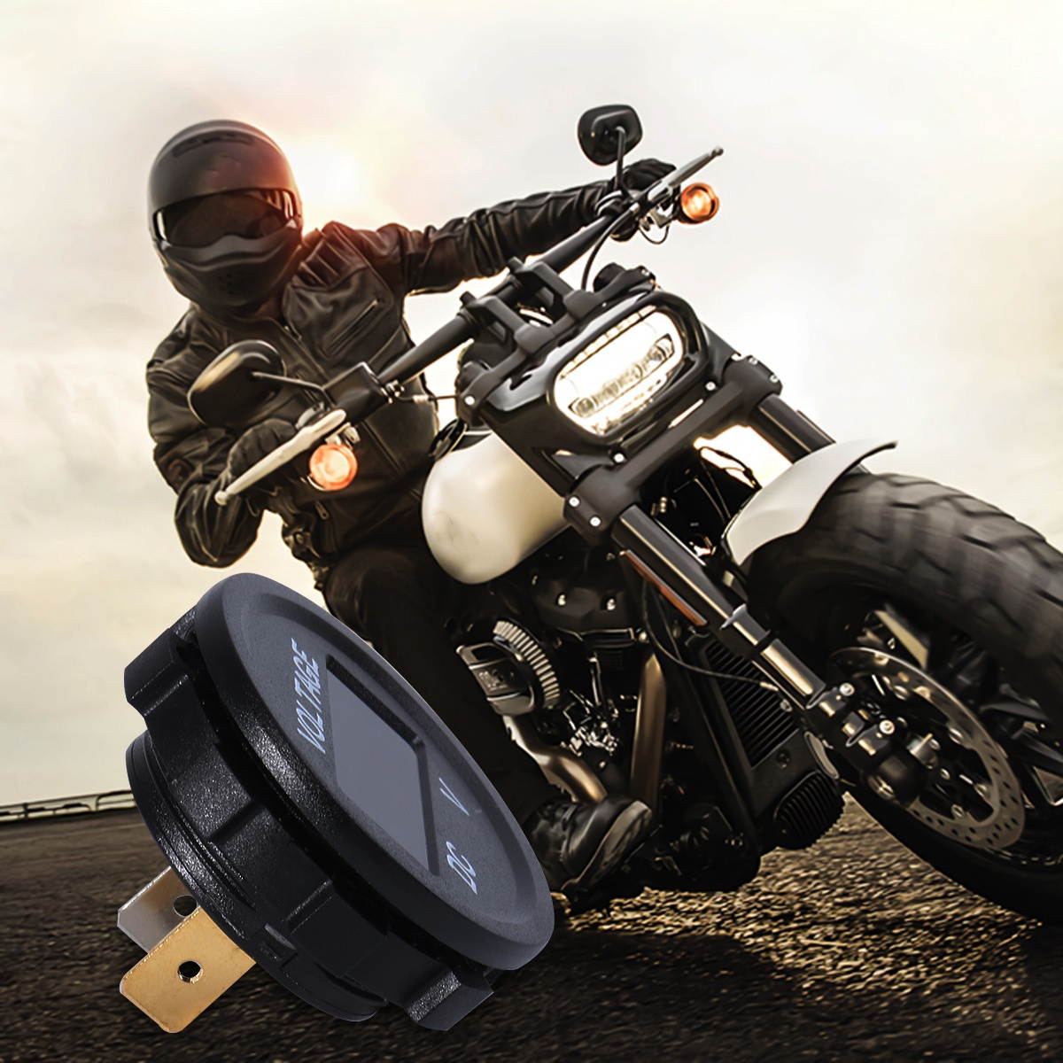 All You Need is Yorkshire Terrier Box Sign by Primitives by Kathy