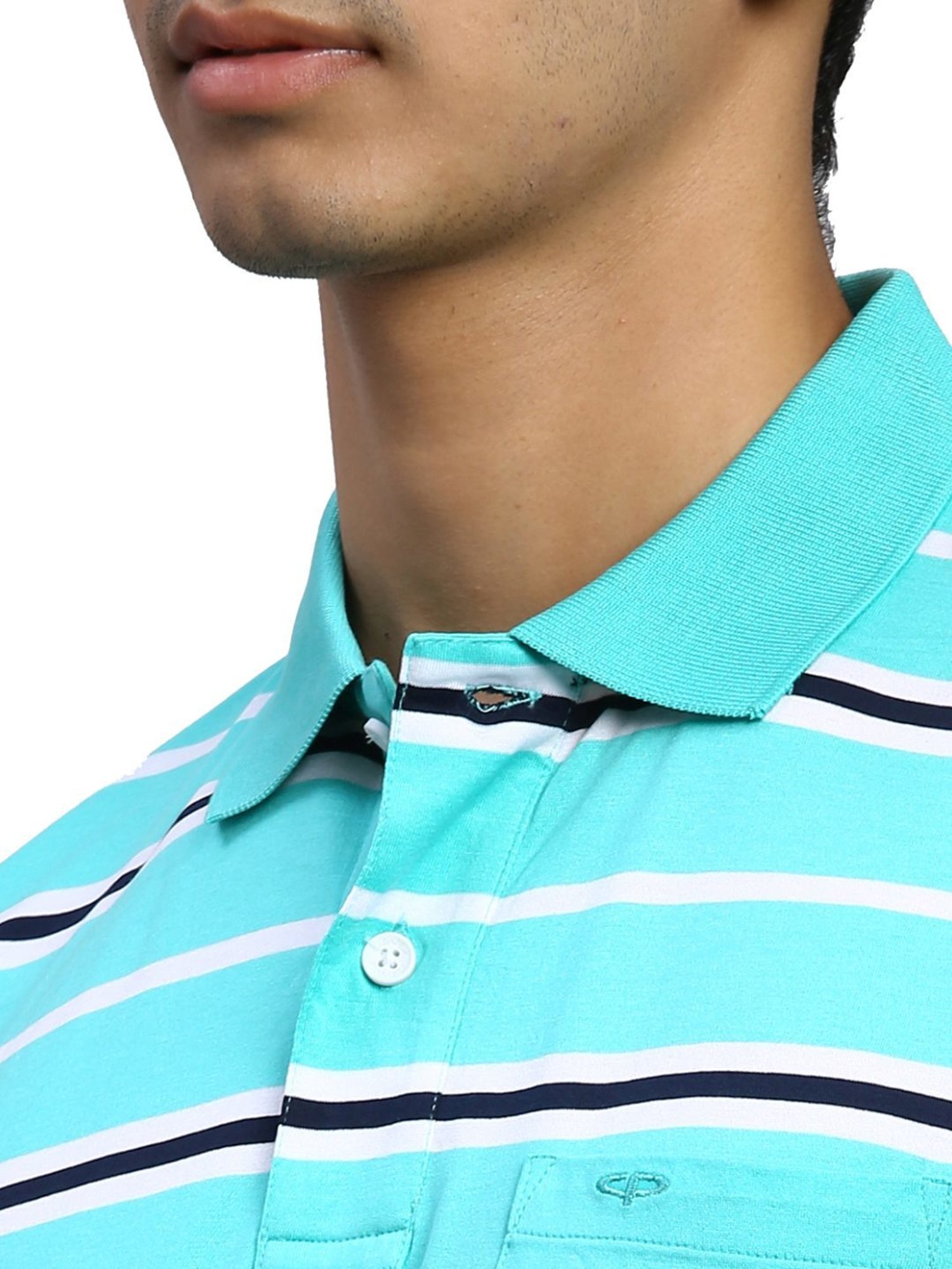 ColorPlus Green Cotton Classic Fit Striped Polo T-Shirt