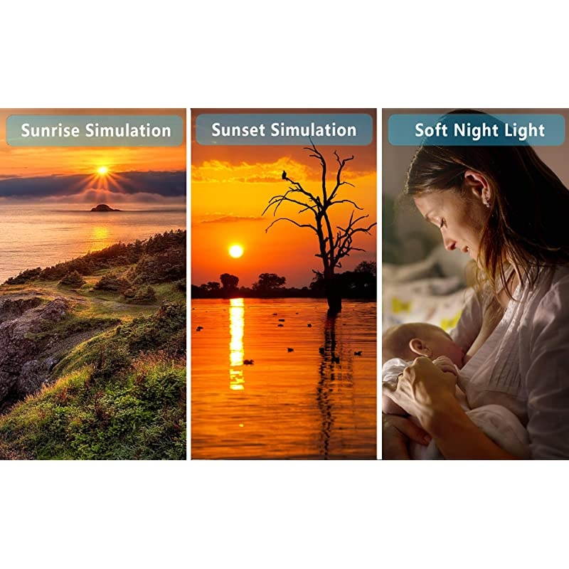 Up Light Sunrise Alarm Clock for Kids, Heavy Sleepers, Bedroom, with Sunrise Simulation, Sleep Aid, Dual Alarms, FM Radio, Snooze, Nightlight, Daylight, 7 Colors, 7 Natural Sounds, Ideal for Gift