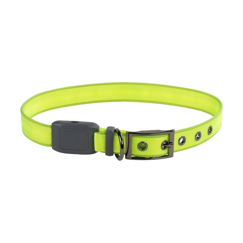 Nite Ize Nite Dog Rechargeable LED Dog Collar - XL - Lime/Green