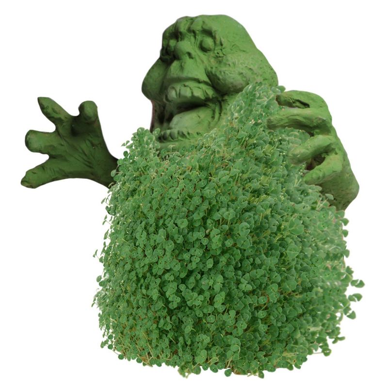 Chia Slimer