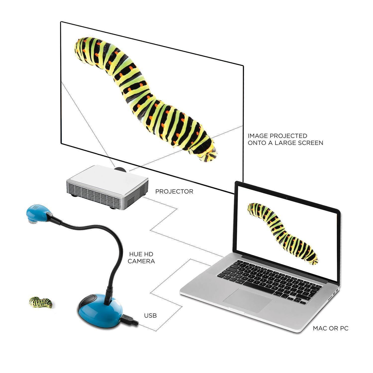 hue hd portable usb camera (blue)