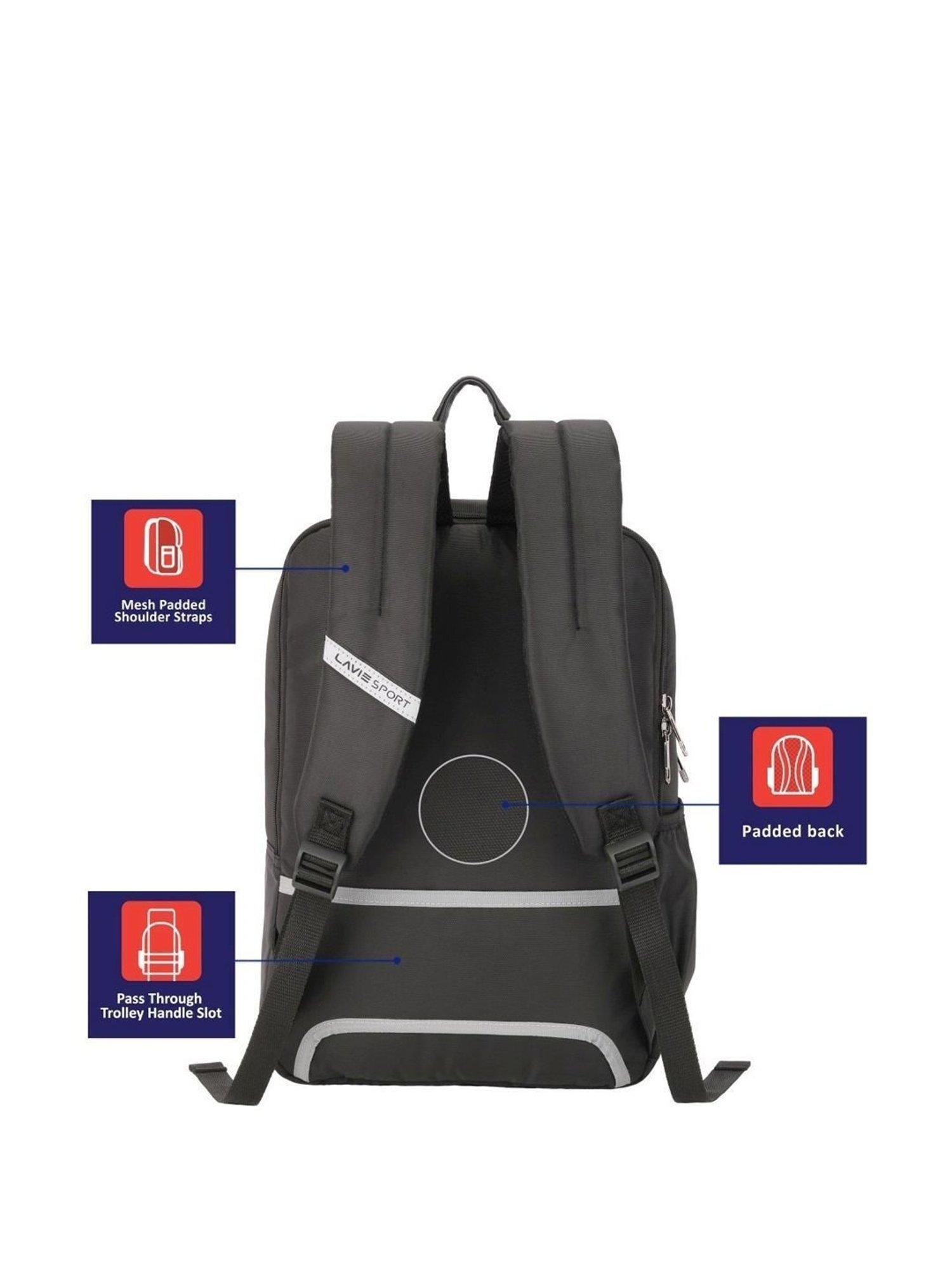 LAVIE SPORT Grey Polyester Medium Laptop Backpack