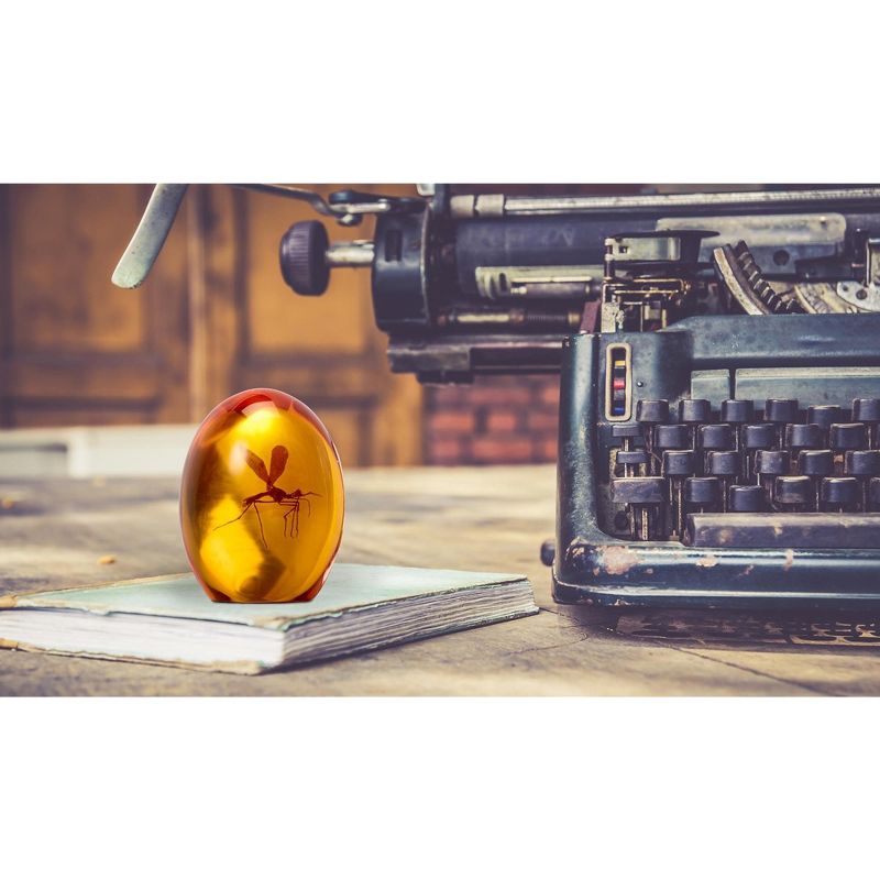 Stamina 36" Folding Trampoline