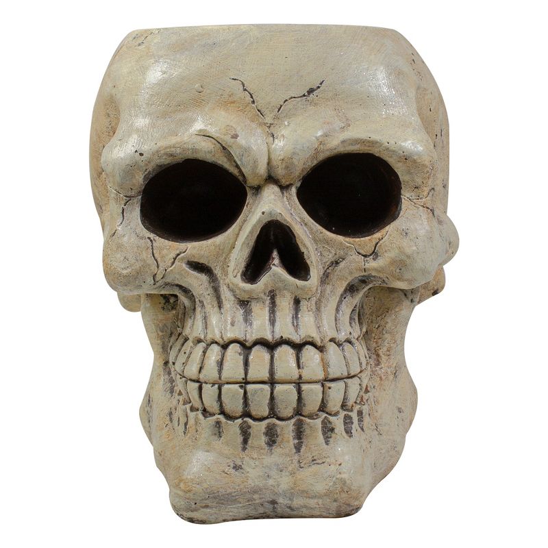 Northlight 3.5" Skeleton Skull Heads with Open Mouths Halloween Decorations 6ct - White/Gray