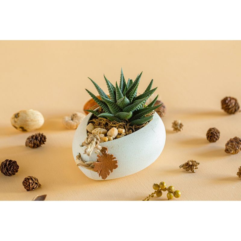 LiveTrends Bountiful