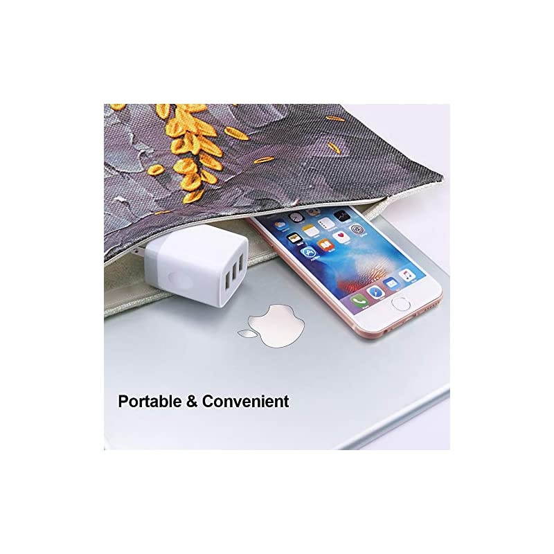 Wall Charger, 3 Port Charging Block, 5V 3.1A 2PC Multi-Port Travel Power Adapter Plug Cube Compatible iPhone 11 11Pro X 8 7 Plus, Samsung Galaxy S10 Plus S10E S9 S8, S7,V50 G8 G7 ThinQ G6