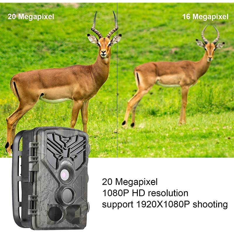 Trail Camera &ndash; 12MP 1080P FHD Wildlife Scouting Hunting Camera with 30 pcs Infra LEDs up to 65ft/20m for Wildlife Scouting Digital Surveillance Waterproof IP65