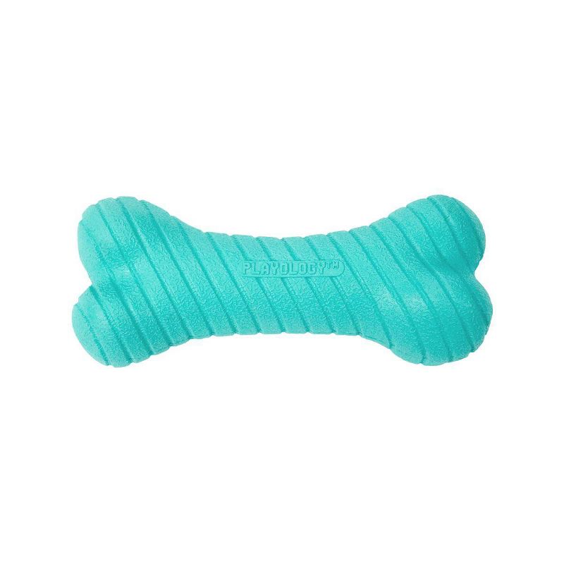 Playology Peanut Butter Scent Bone Dog Toy - Blue - L