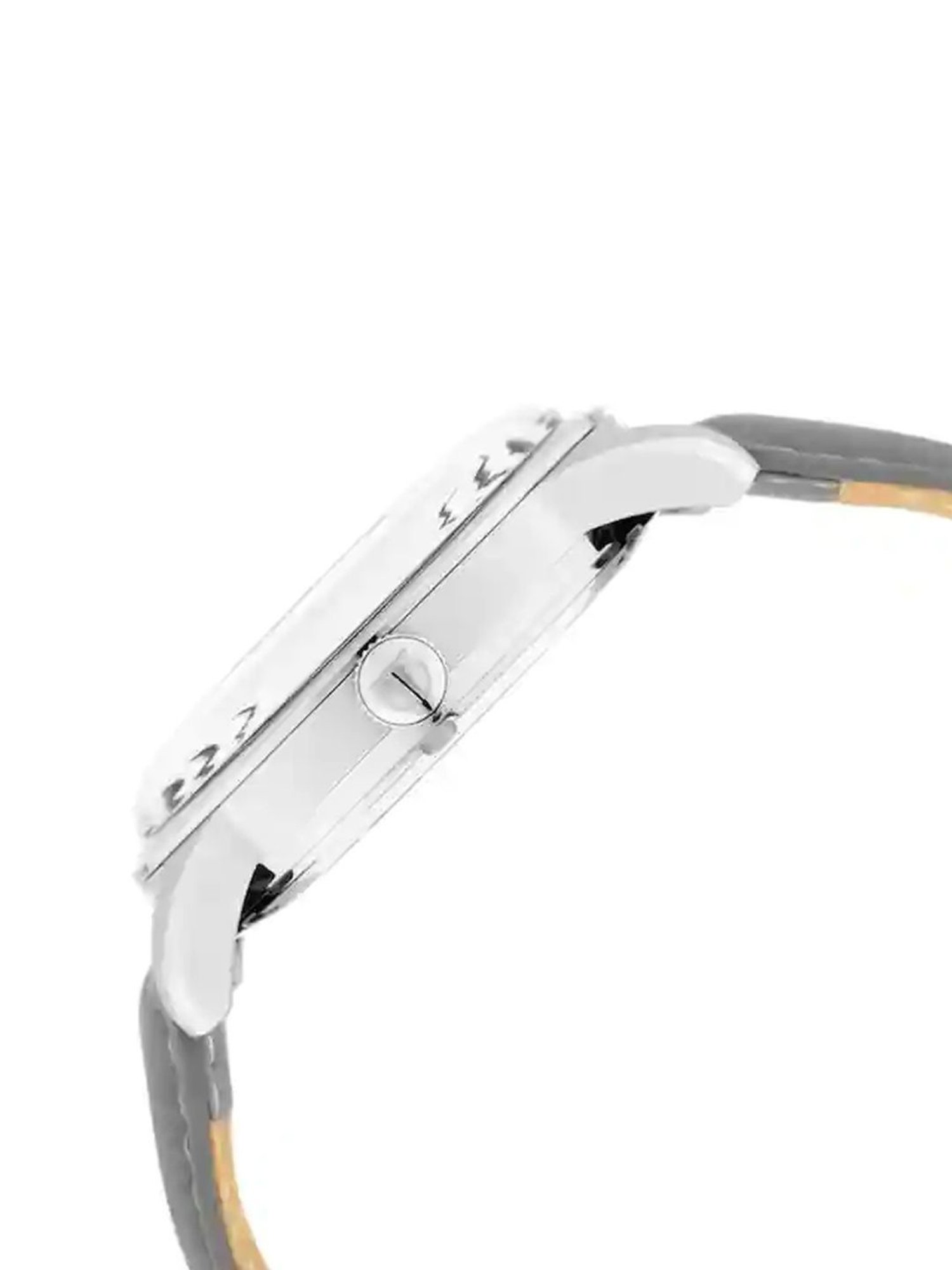 Titan NR90126SL01 Automatics Analog Watch for Men