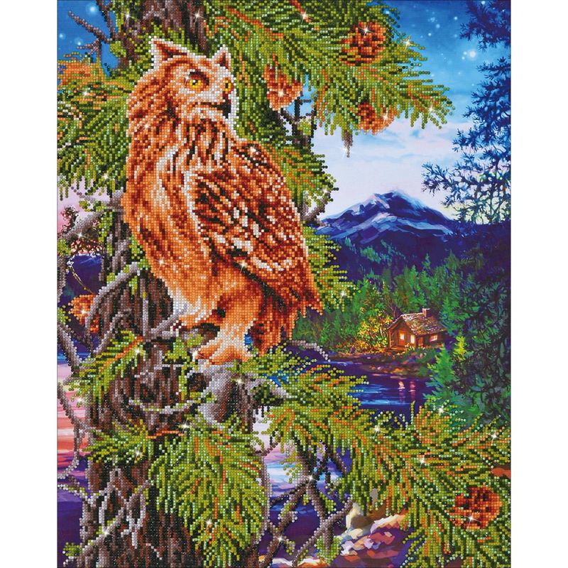 Diamond Dotz Diamond Embroidery Facet Art Kit 21.5"X26.25"-Twilight Wisdom