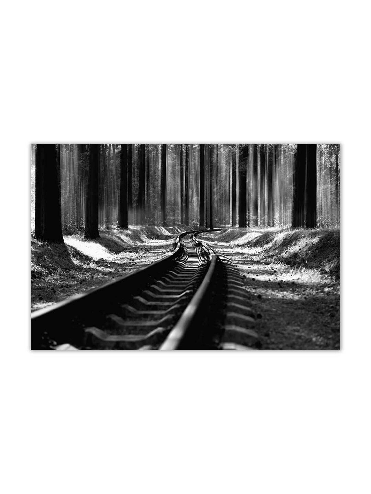 999store Black & Grey Railroad Track In Forest Canvas Painting