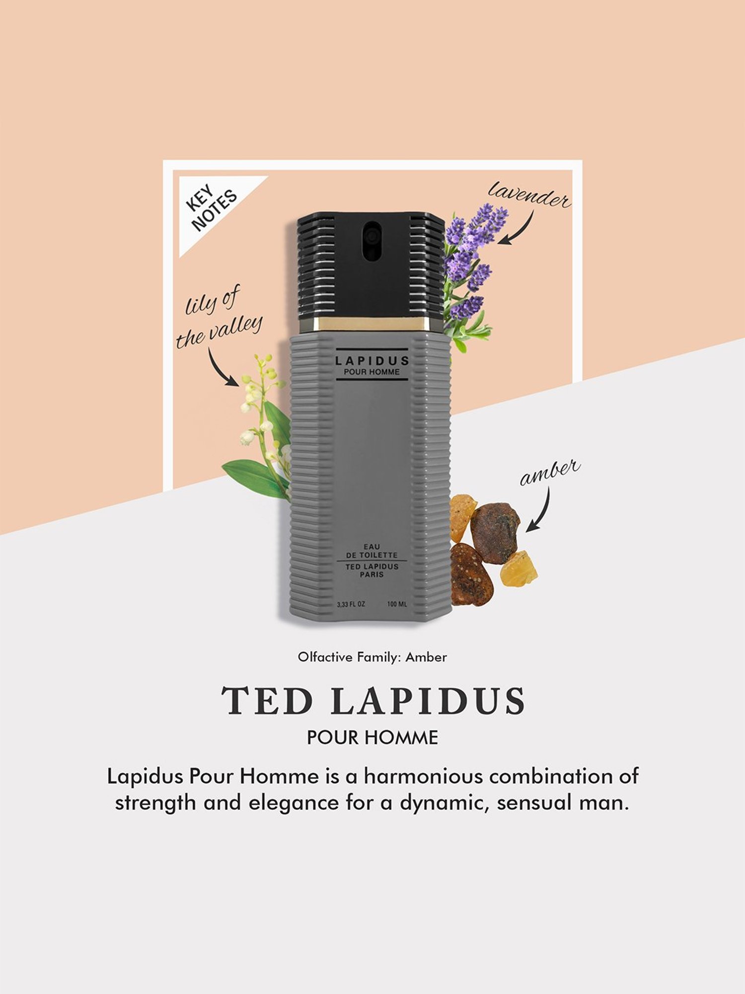 Ted Lapidus Pour Homme Eau de Toilette - 100 ml