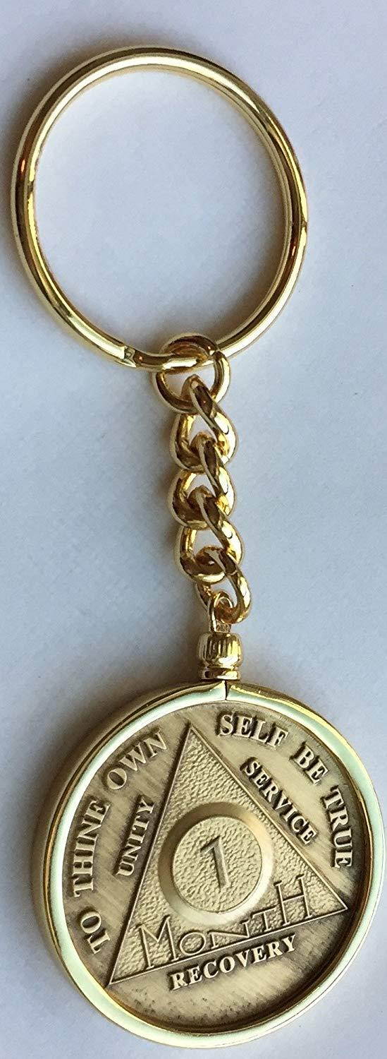 Wendells 1 Month 30 Day AA Sobriety Chip In Removable Gold Plated Keychain Holder