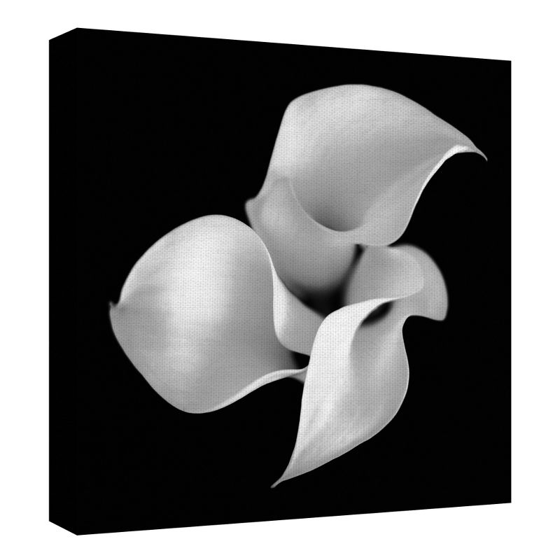 30"x30" Untitled Floral 26 By Michael Faragher Art On Canvas Black - Fine Art Canvas