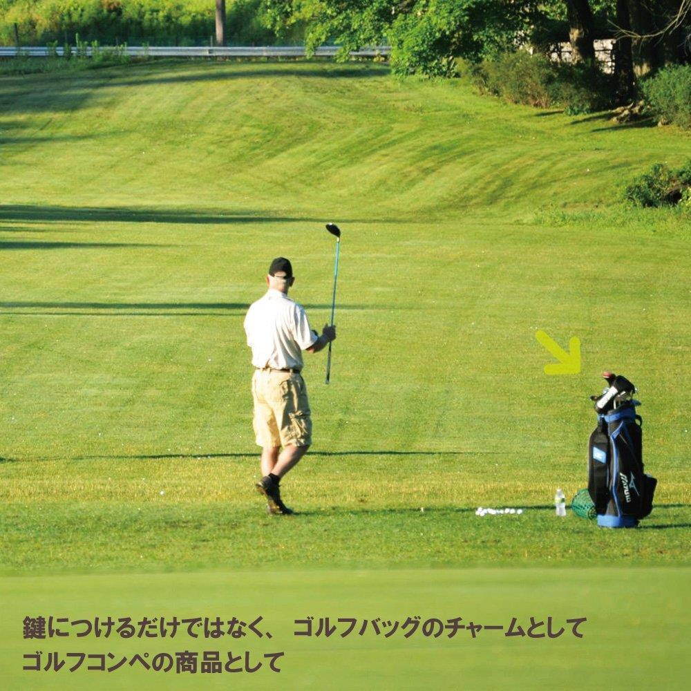 Troika Hole in One Golf Keyring (KR1133CH)