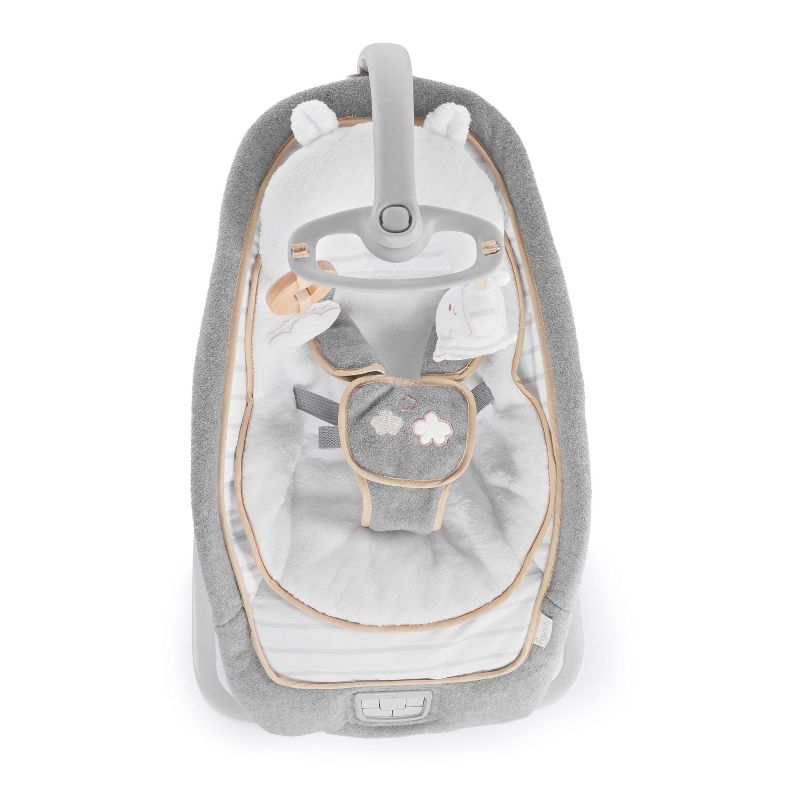 ​Fisher-Price Baby Bouncer