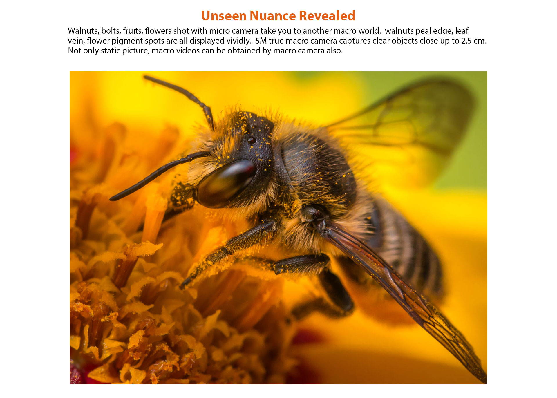 4G Mobile Phone OUKITEL C18 Pro, Quad Camera 16MP+8MP+5MP+2MP, 6.55&rsquo;&rsquo; Full HD SIM Free Smartphone Unlocked, Helio P25 Octa Core 4GB+64GB, 4000mAh Fingerprint Face Unlock Android 9.0 DUAL SIM