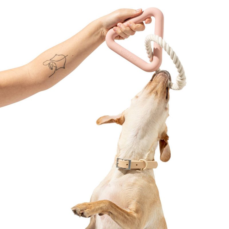 Wild One Triangle Tug Engaging Dog Toy - Pink