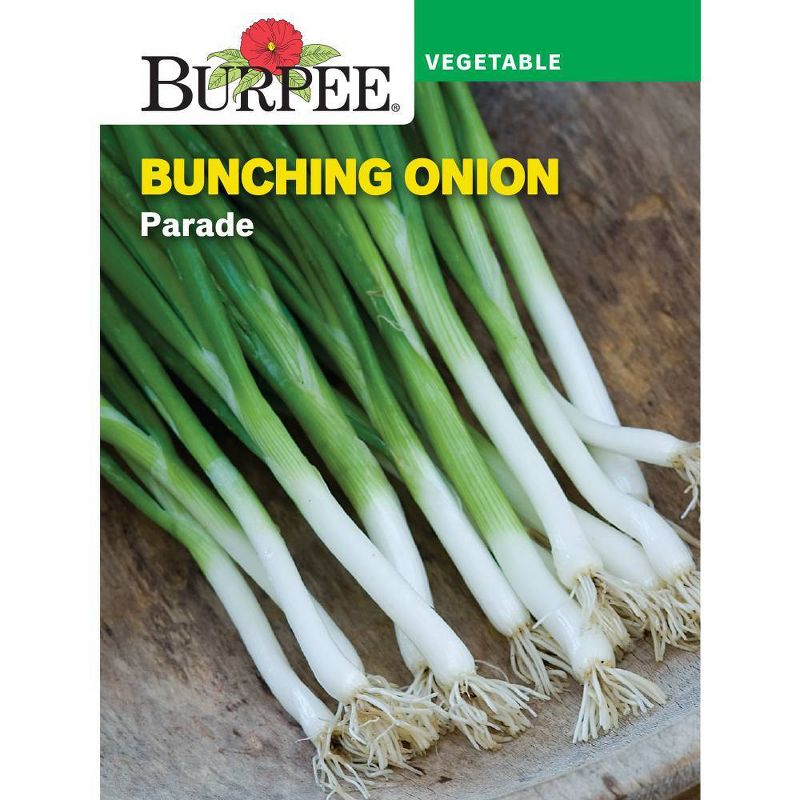 Burpee Garden Essential Vegetable Seed Collection - 13pk