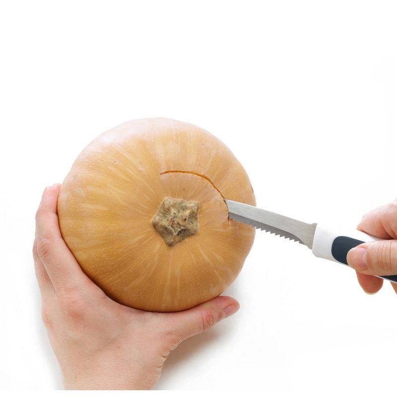 ZYLISS Squash and Pumpkin Tool