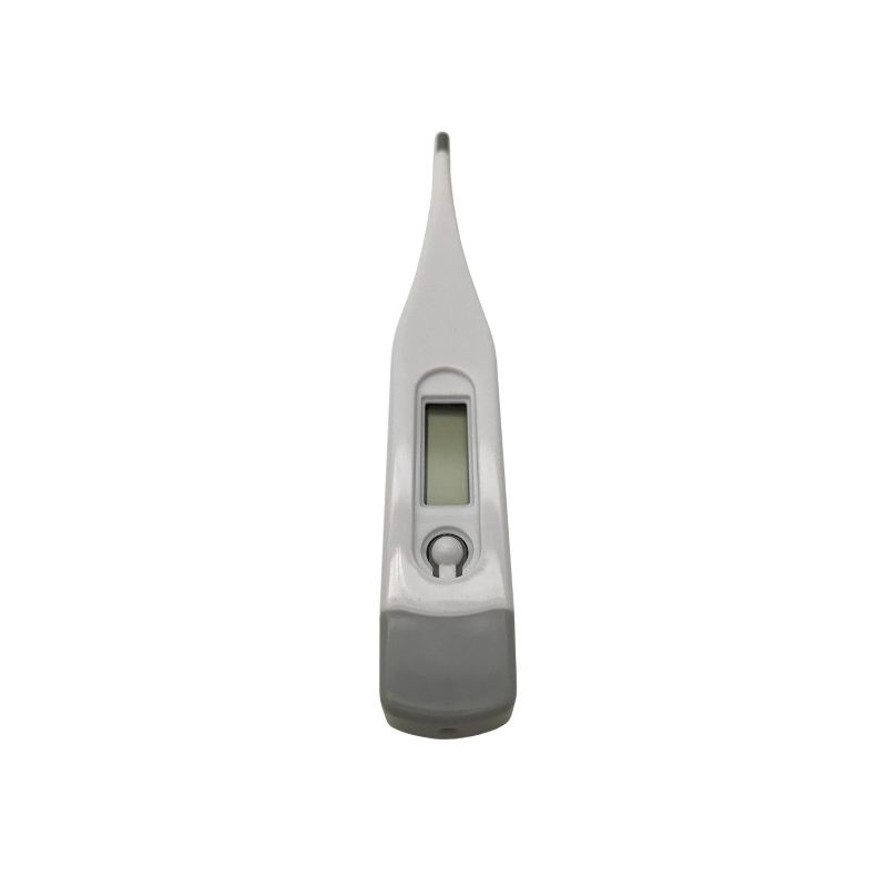 Packard Bell Digital Thermometer