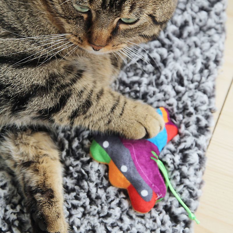 Quirky Kitty Roll with Pride Cat Toy - Blue