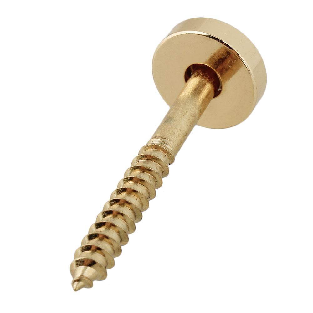 BQLZR Set of 80 Guitar Neck Joint Ferrules & Screws Gold 14mm-Dia