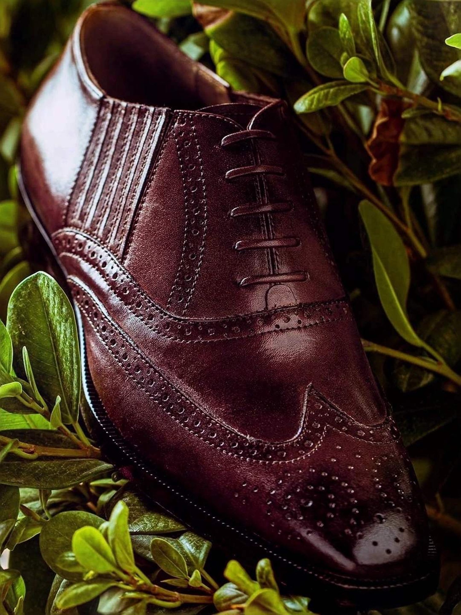 Saint G Men's Vincenzo Brown Brogue Shoes