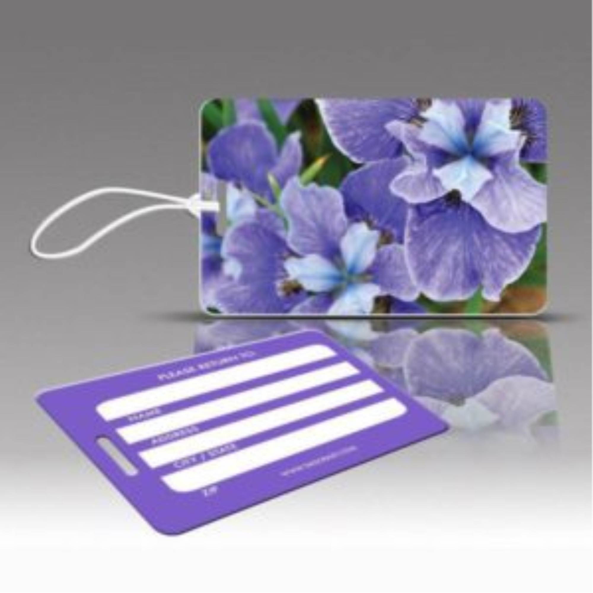 The Floral Collection - Irises