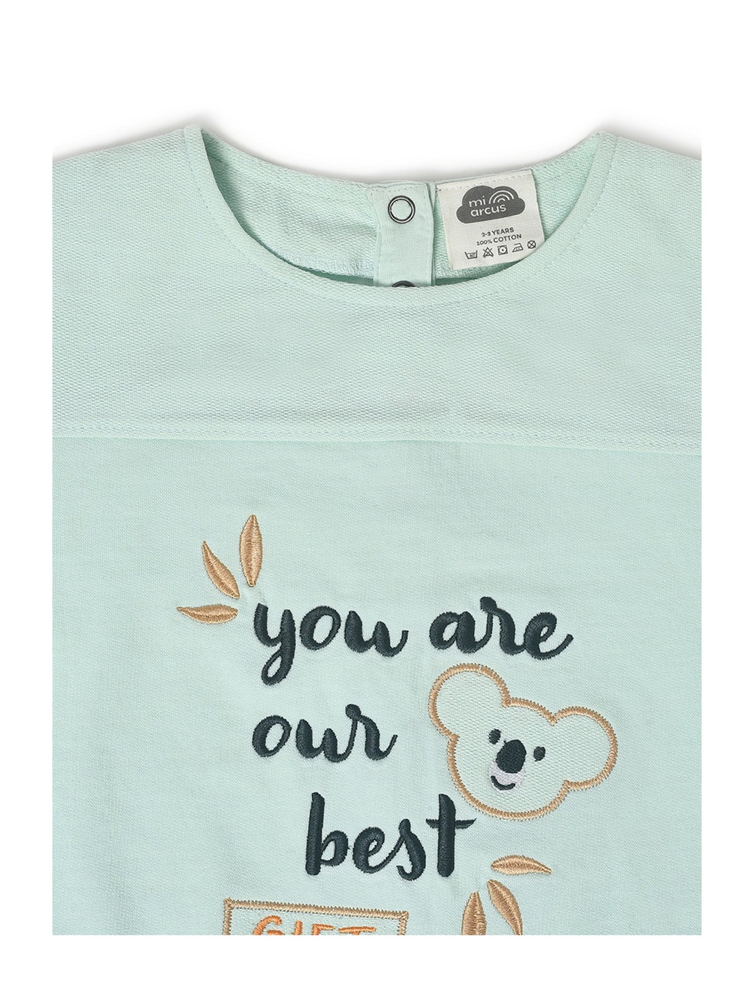 MiArcus Kids Mint Green Embroidered Full Sleeves Sweatshirt