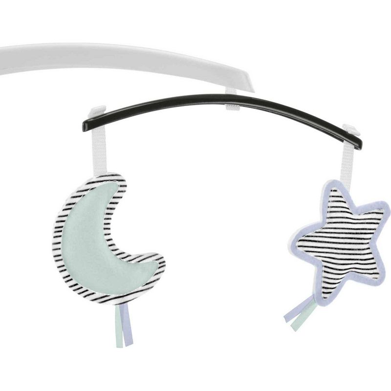 ​Fisher-Price Baby Bouncer