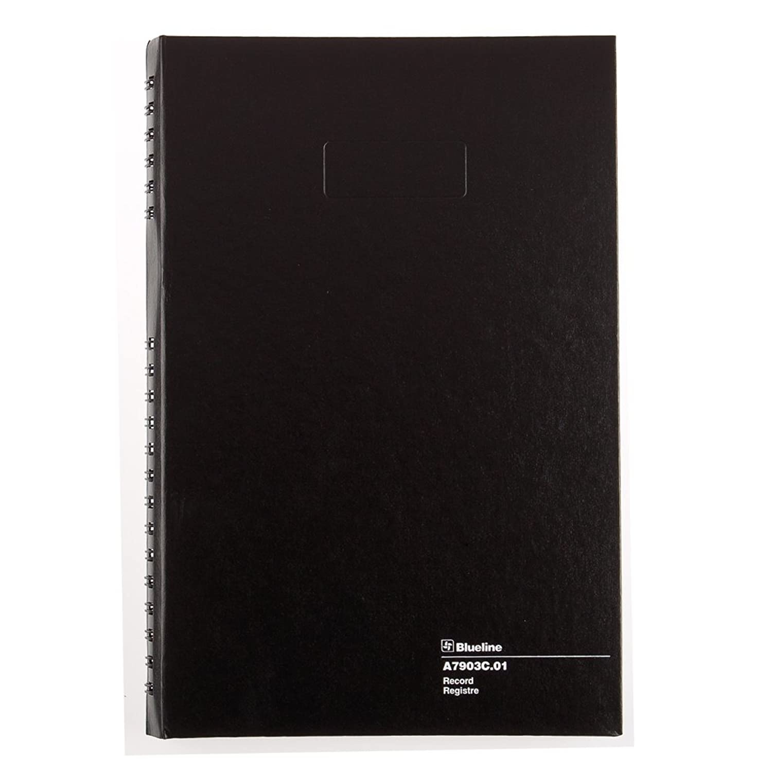 Blueline AccountPro Record Book, Black, 12.5 x 7.875 inches, 300 Pages (A7903C.01)