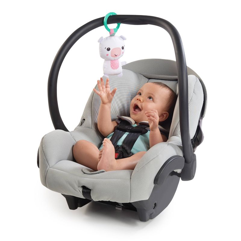 Bright Starts Daydream Blooms Activity Gym