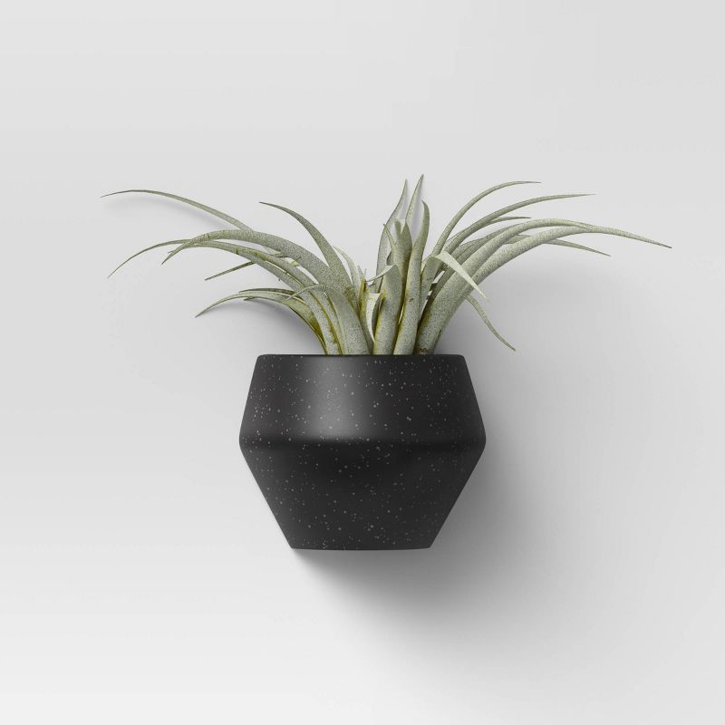 Large Hanging Succulents Wall Sculpture Black - Project 62™