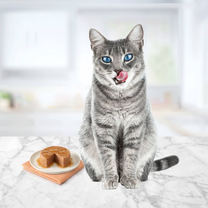 Meow Mix Tasty Layers Chicken and Tuna Recipe Wet Cat Food - 2.75oz