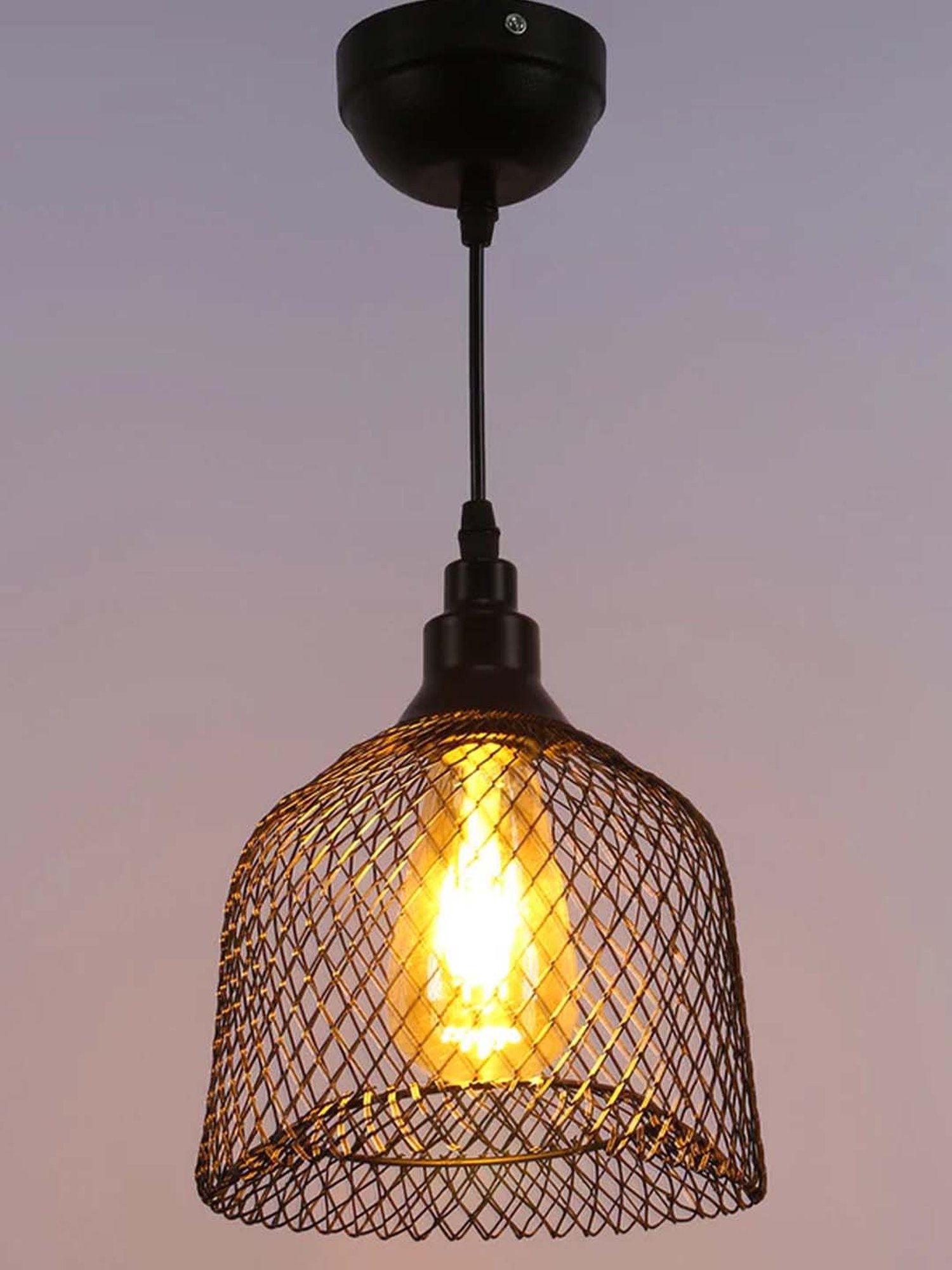 DecorativeRay Black Hanging Light - Set of 1